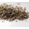 印度歐標99%優(yōu)質孜然 Cumin